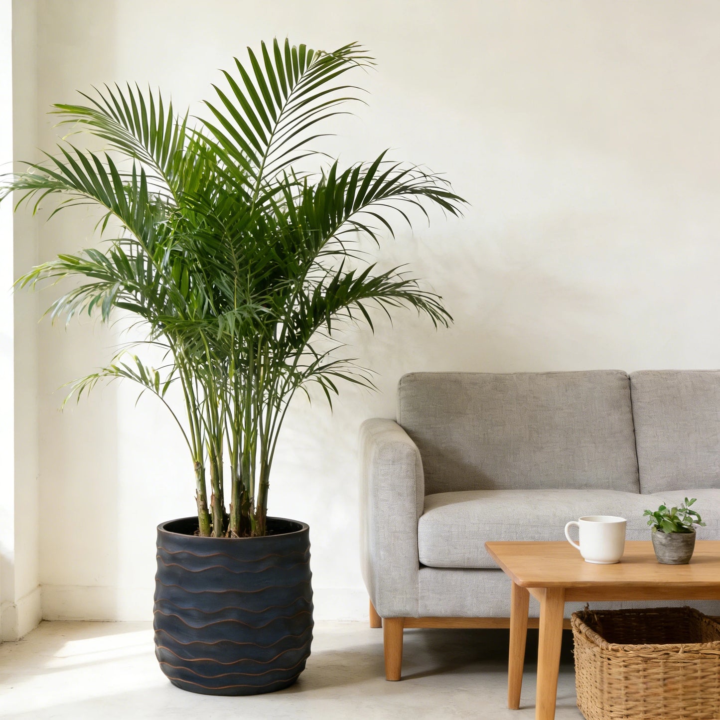 Large Round Planters Set Of 2 16.14x15.75 & 11.8 X11.42 - Lightweight Magnesium Oxide Plant Pot With Texture -Concrete Planter Pots With Drainage Hole - Indoor & Outdoor Use