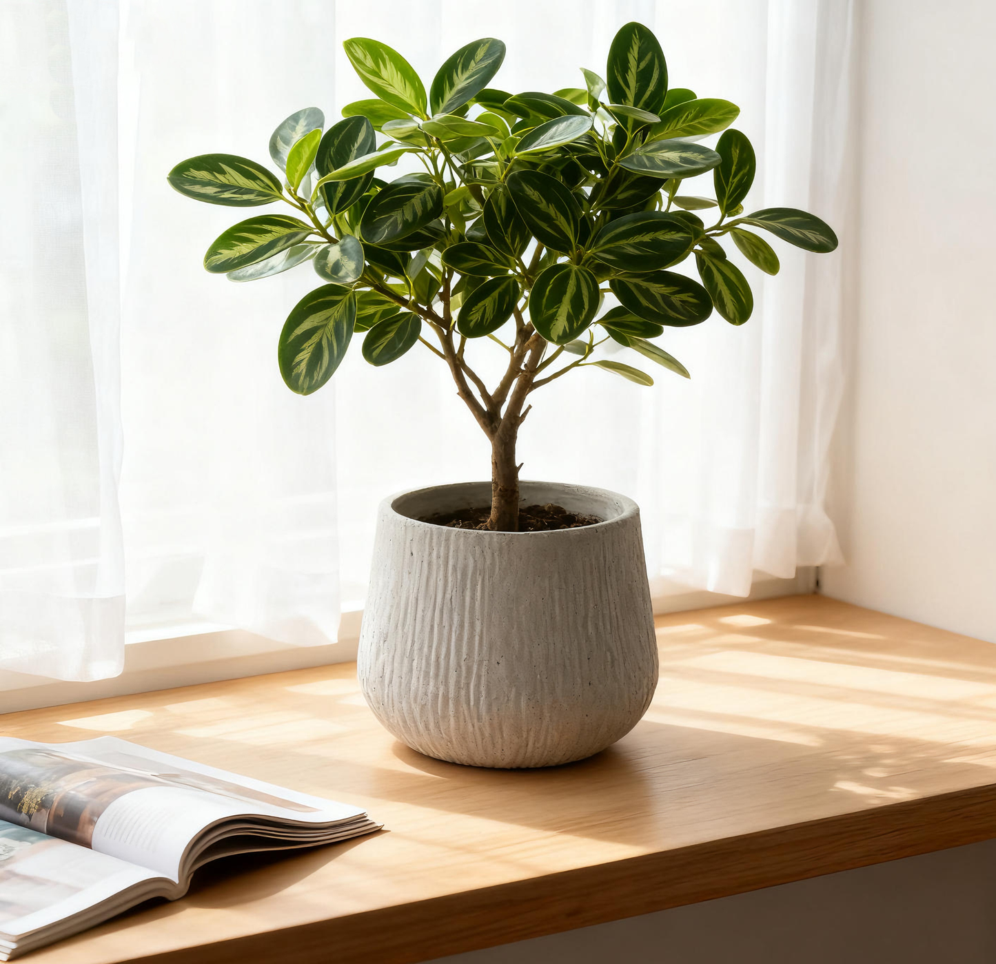 11Dia X 9.06 H Large Round Planters For Indoor Plants, Outdoor Planters With Drainage Holes, Magnesium Oxide Plant Pot With Cement Texture Plant Pots Indoor & Outdoor For Home Garden Patio