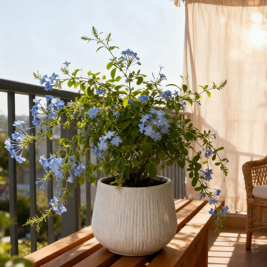 11Dia X 9.06 H Large Round Planters For Indoor Plants, Outdoor Planters With Drainage Holes, Magnesium Oxide Plant Pot With Cement Texture Plant Pots Indoor & Outdoor For Home Garden Patio